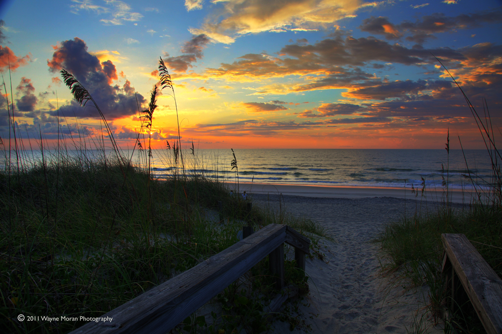 Sand dunes on the Seashore at Sunrise - Carolina Beach NC