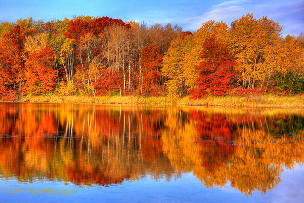 Autumn Reflections: Prints from Wayne Moran Photography