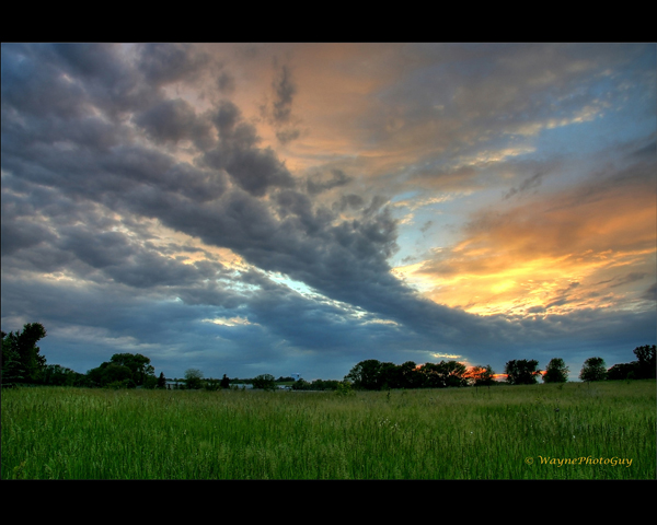 Creation: Prints from Wayne Moran Photography