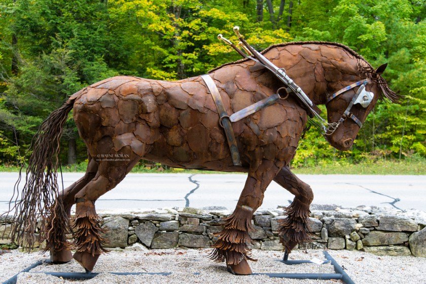 Edgewood Orchard Galleries Door County Wisconsin