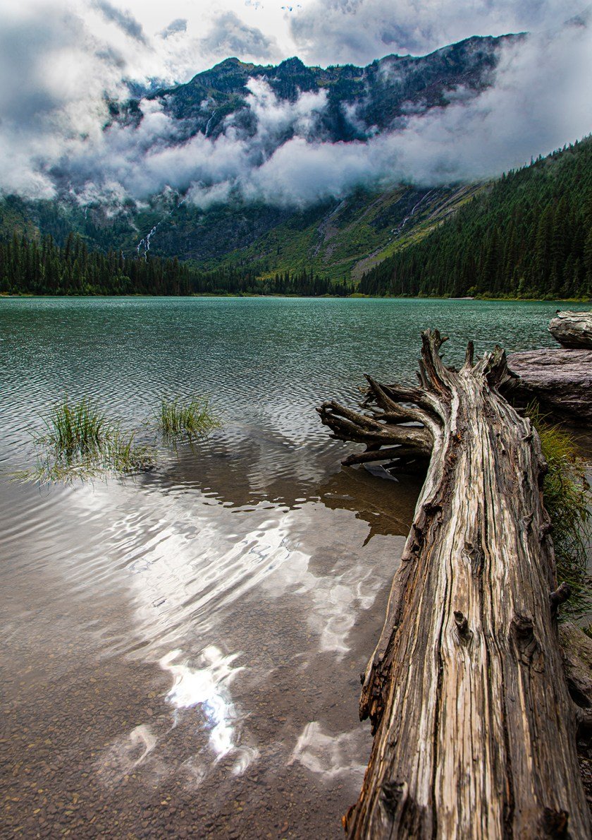 Views from Avalanche Lake Glacier National Park Top 16 Tips for Driving Going to the Sun Road Glacier National Park