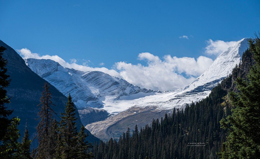 Jackson Glacier Overlook Glacier National Park Top 16 Tips for Driving Going to the Sun Road Glacier National Park