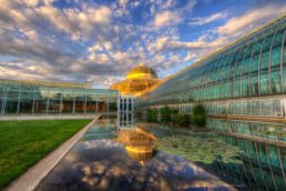 How to buy fine art photography