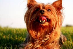 How To Create Amazing Images - The Basics of Light