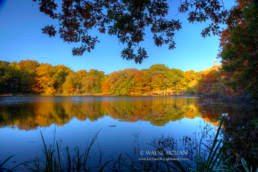 How to photograph Autumn Colors in Beautiful and interesting ways