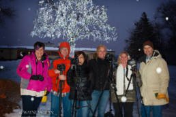 How to photograph Christmas Lights and Energy