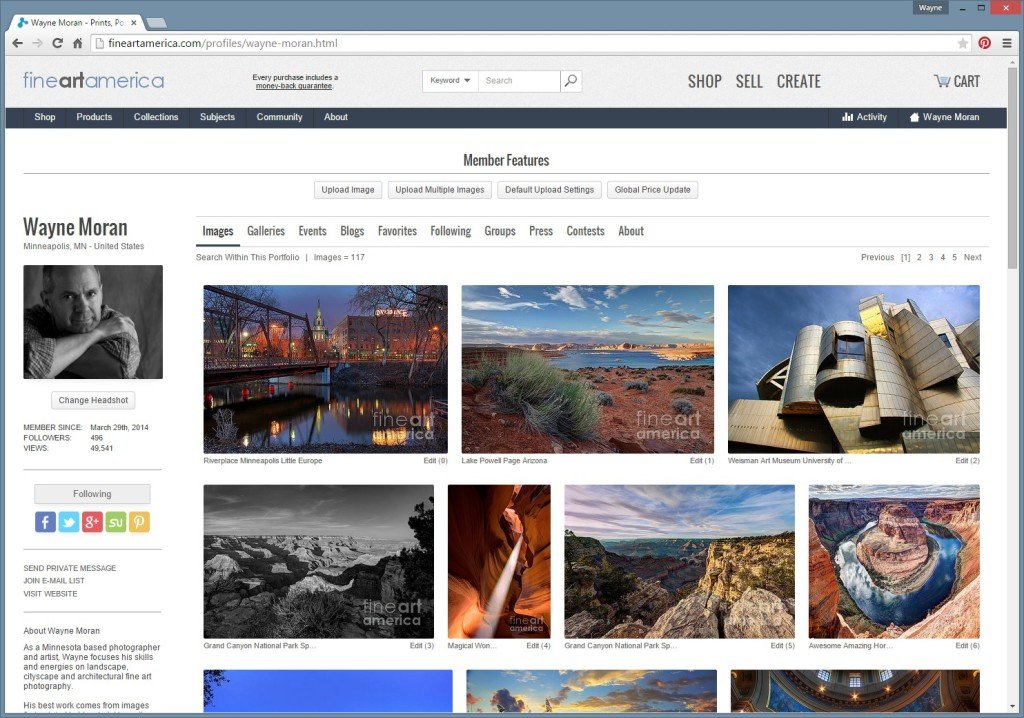 Fine Art America Artist Website