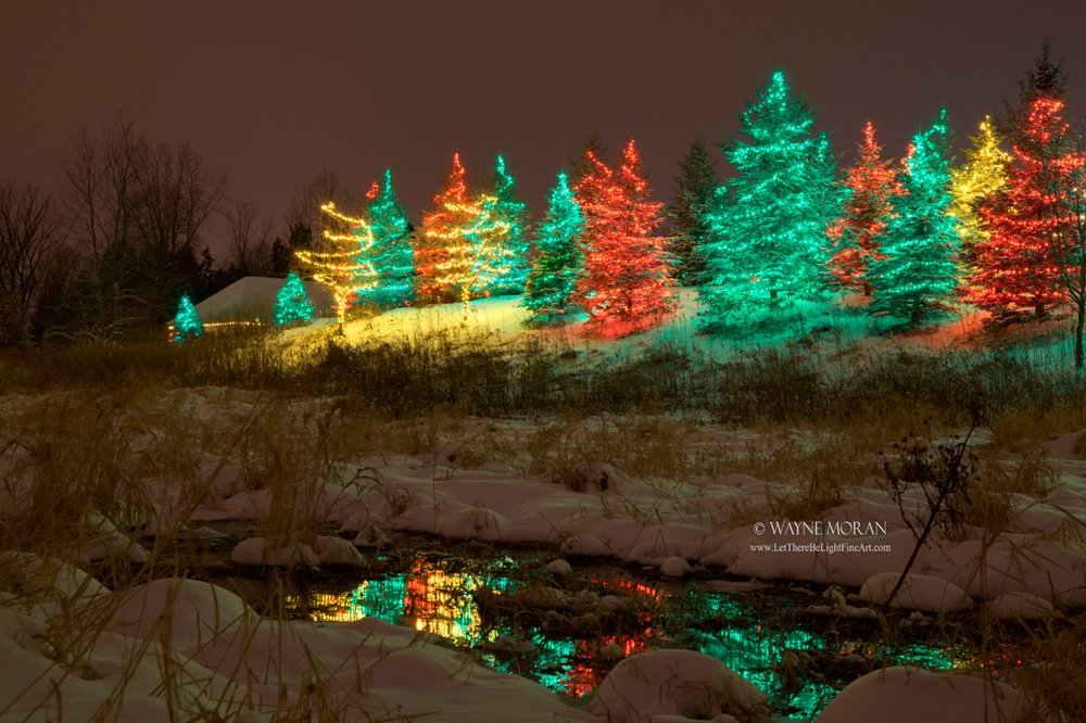 Best Twin Cities Christmas Lights Saint Paul