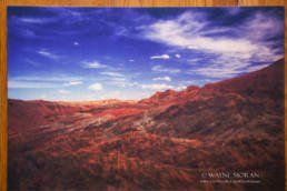 AdoramaPix Wood Prints Review