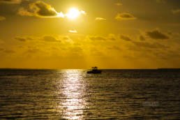 Top 7 Areas & Attractions on the Southeast Coast of Florida